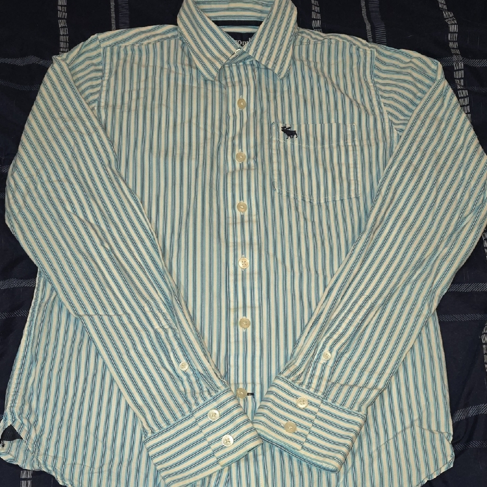Abercrombie & Fitch Teal and White Striped Shirt